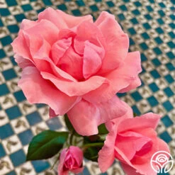 Eiffel Tower -FloraFinesse Shop Eiffel Tower 11