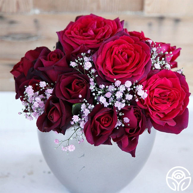 Parfuma® Dark Desire™ 4 Parfuma® Dark Desire™ - Image 4