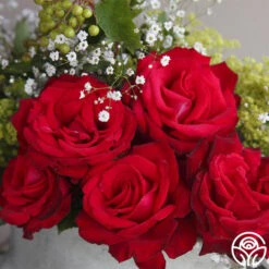 Sunbelt® Desmond Tutu -FloraFinesse Shop desmond tutu 1 5