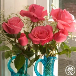 Grandma's Blessing -FloraFinesse Shop grandma s blessing 1