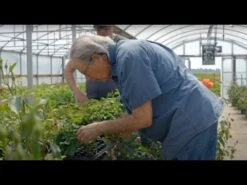 Robert Bruce 21 Robert Bruce -FloraFinesse Shop hqdefault 3 5