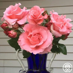 Paris De Yves St. Laurent ™ -FloraFinesse Shop paris de yves st. laurent 2